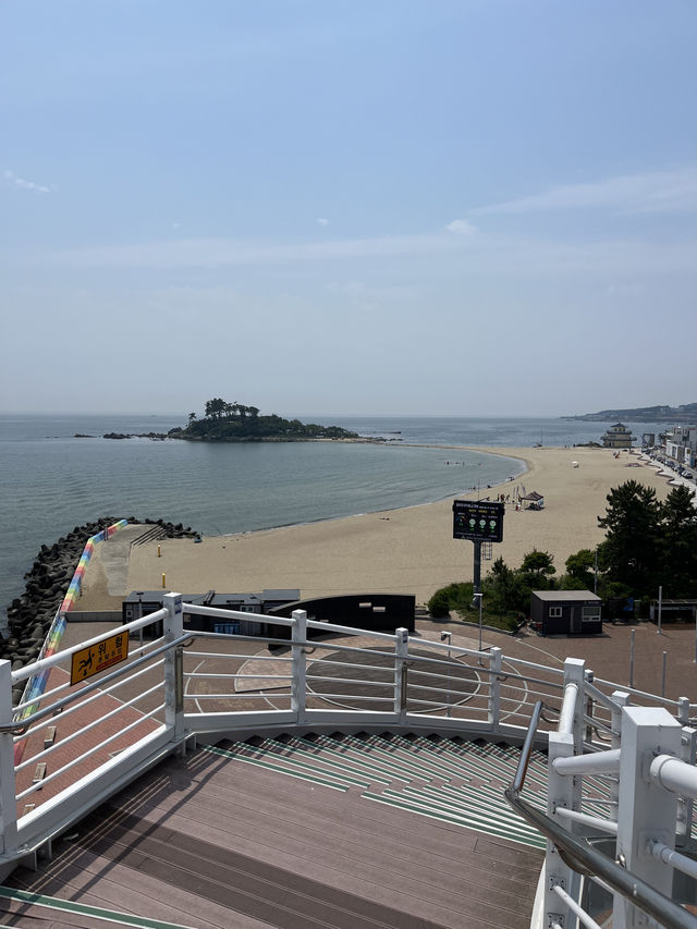 여름은 역시 바다죠!