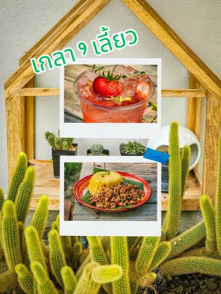 เกลา 9 เลี้ยว