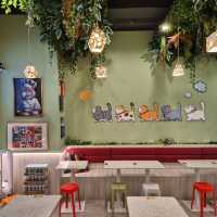 Cute Cat Themed Dessert Cafe 😺
