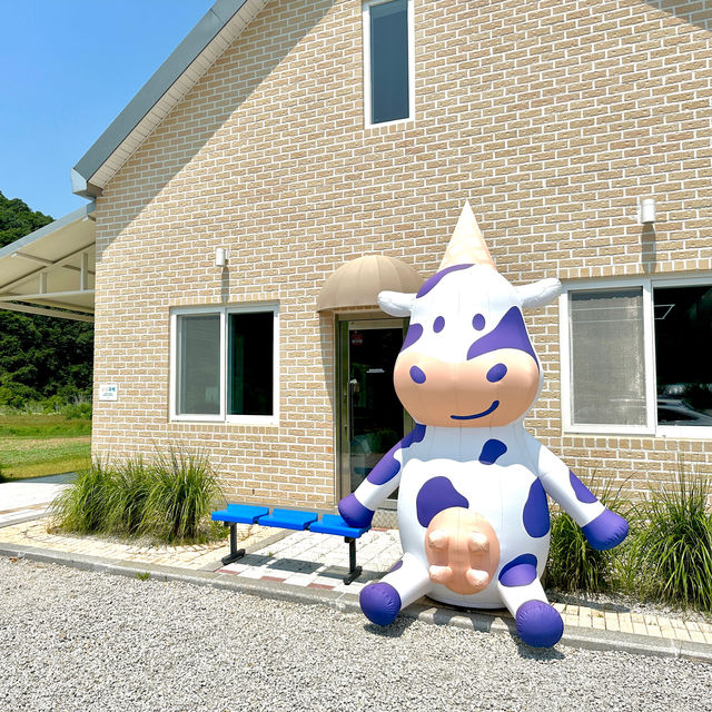 산정호수 근처 시원한 수제아이스크림 카페 추천🩵