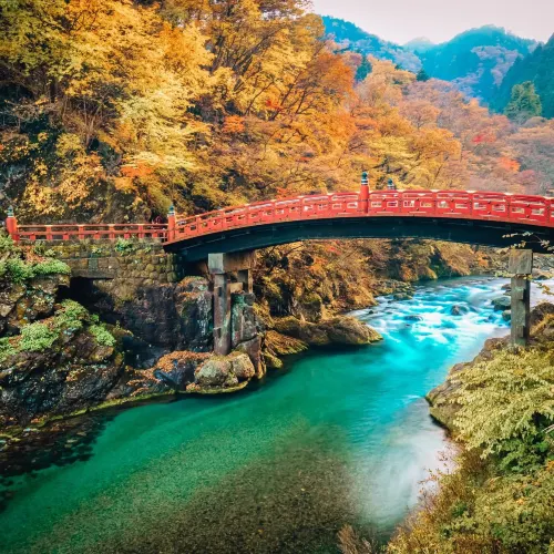 日本の世界遺産都市を体験しよう!🍂