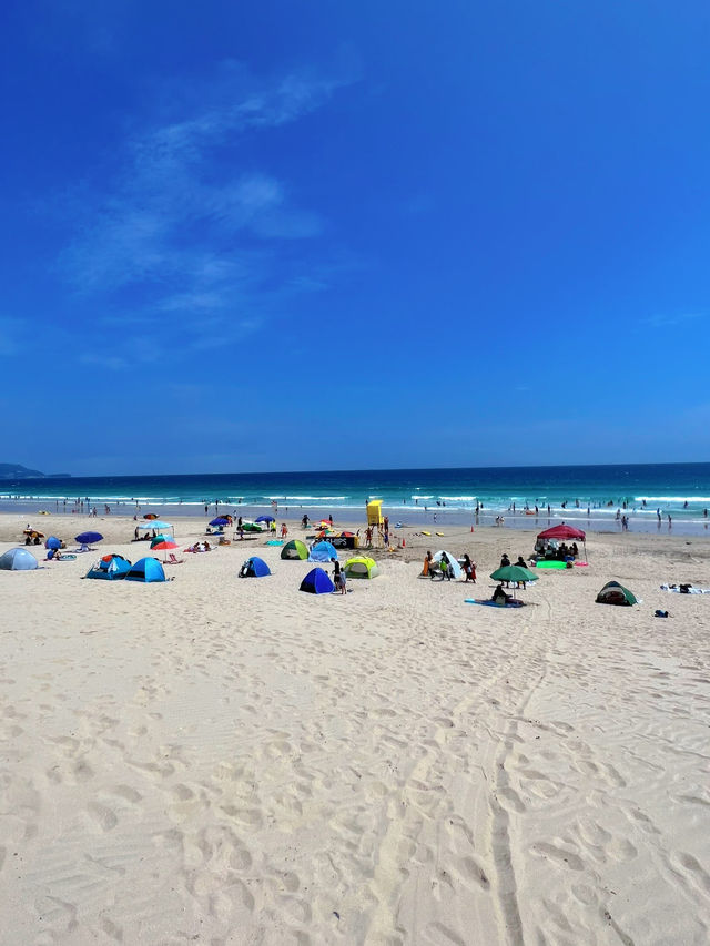 【伊豆】ココは南国!?透明度バツグンなビーチ🏖