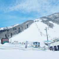 Hakuba Goryu: A Powder Paradise, Nagano 🇯🇵
