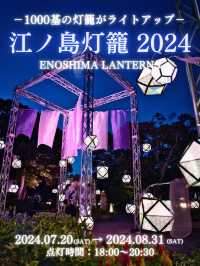 【この夏行くべき】江ノ島で体験するライトアップイベント✨