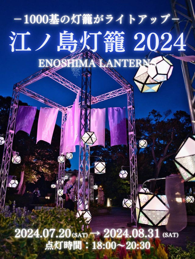 【この夏行くべき】江ノ島で体験するライトアップイベント✨