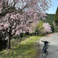四國遍路+瀨戶內海單車遊