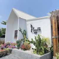 เพลินคาเฟ่บางปู 