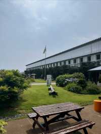 泊まれる小学校？！エモすぎる道の駅🤩🏫🌱【千葉】