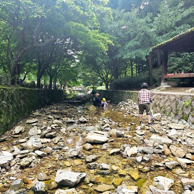 아이와 함께 떠나는 충북 계곡 여행