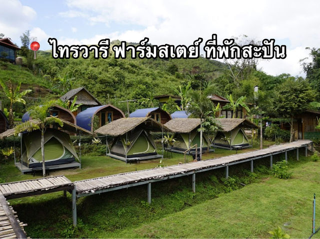 📍 ไทรวารี ฟาร์มสเตย์ ที่พักสะปัน 
