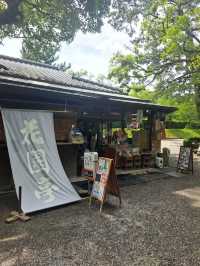 【うどん県】深夜便で行くフェリー旅♪