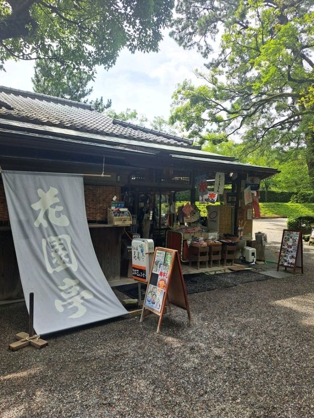【うどん県】深夜便で行くフェリー旅♪