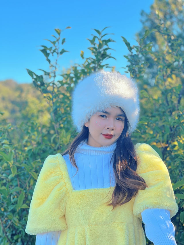 ⛰️พาเดินกิ่วแม่ปาน 2024 วิวสวยจนลืมเหนื่อย‼️