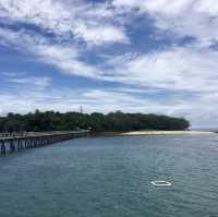 【オーストラリア】ケアンズ🐨🇦🇺