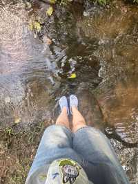 น้ำตกคำน้ำสร้าง ในอุทยานแห่งชาติภูผายล สกลนคร