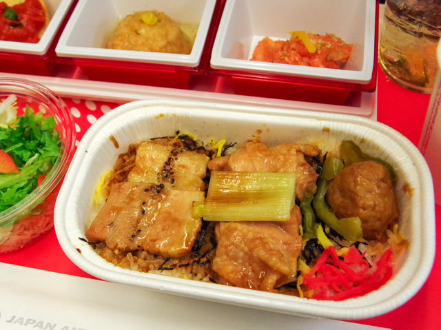 【JL】成田→サンフランシスコ エコノミークラス✈️