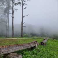 ภูอนันต์รีสอร์ทเขาค้อ ที่พักเปิดใหม่ เขาค้อ