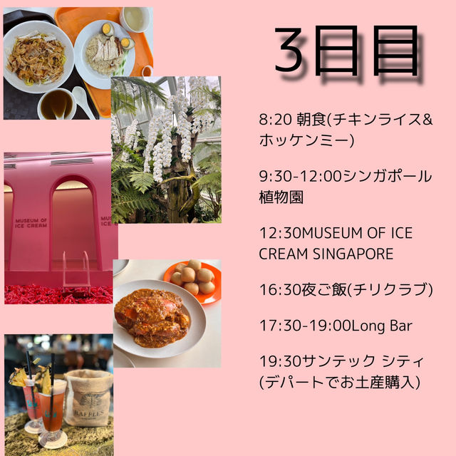 シンガポール3泊5日旅✈️スケジュールと費用