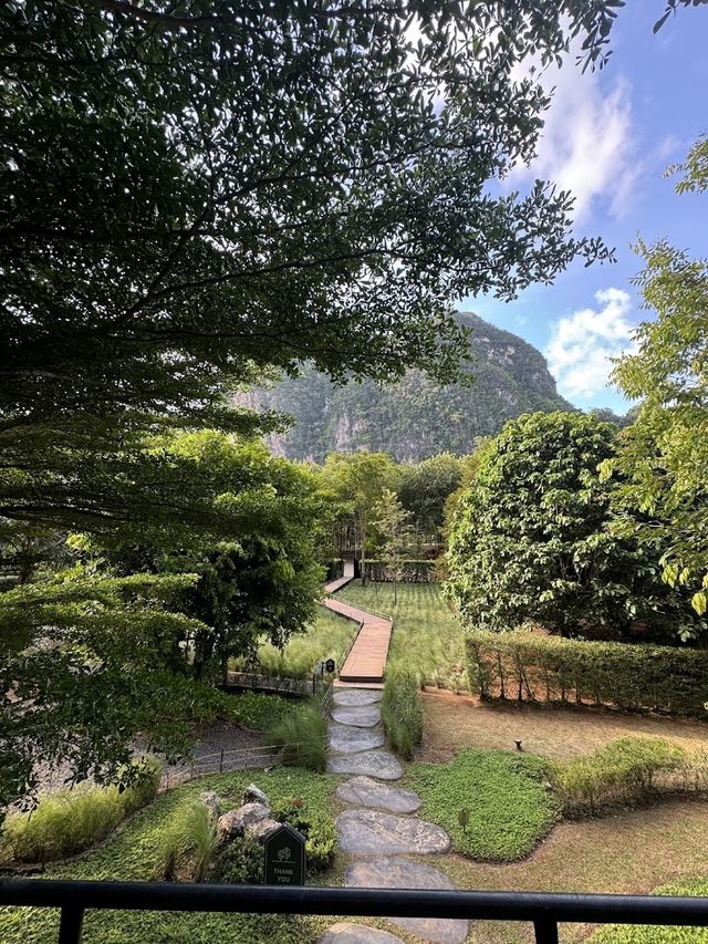 📍🥤Into The Forest กระบี่