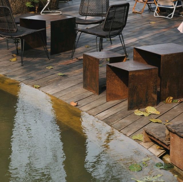 SOP Cafe - คาเฟ่ของกาลเวลาและธรรมชาติ