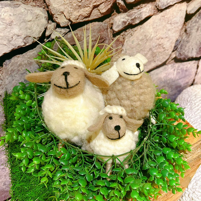 斑馬二人餐正🥰