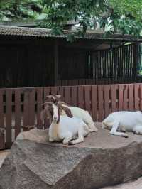 ไปกินข้าว ให้อาหารสัตว์ ใกล้กรุงเทพกัน