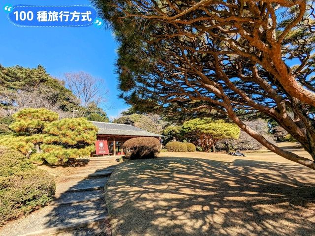 日本東京-東京庶民的後花園：新宿御苑