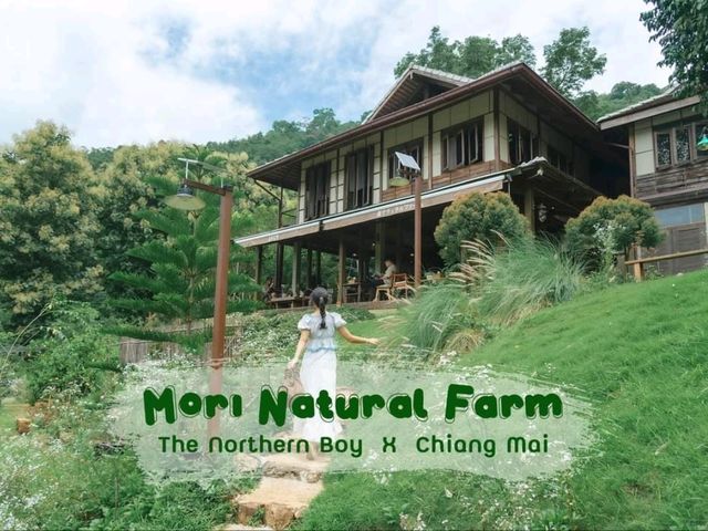 Mori Natural Farm โมริ เนเชอรัลฟาร์ม เชียงใหม่ 
