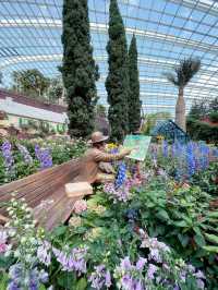 The best place to see beautiful flowers in Singapore