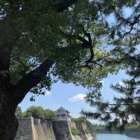 五天大阪玩了甚麼🧐環球影城真的最值了！大阪城必去！👍