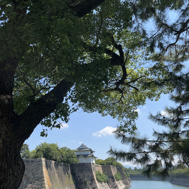 五天大阪玩了甚麼🧐環球影城真的最值了！大阪城必去！👍