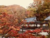 ธรรมชาติที่มหัศจรรย์สร้าง🍁”Takaragawa Onsen“