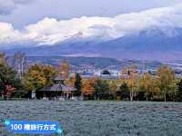 日本北海道-四季花田與雪山織成的美景：富田農場