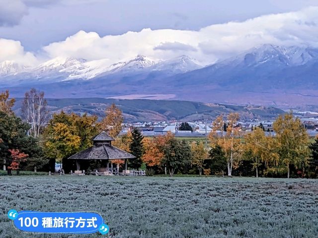 日本北海道-四季花田與雪山織成的美景：富田農場