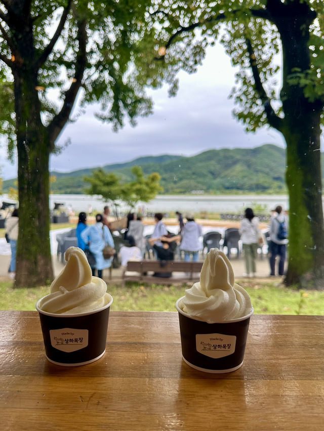 두물머리의 수려한 자연경관을 보며 🏞️ 커피타임을 가질 수 있는 사진명소카페