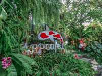 คาเฟ่ในสวนญี่ปุ่นมีบ่อปลาคราฟ ชลบุรี