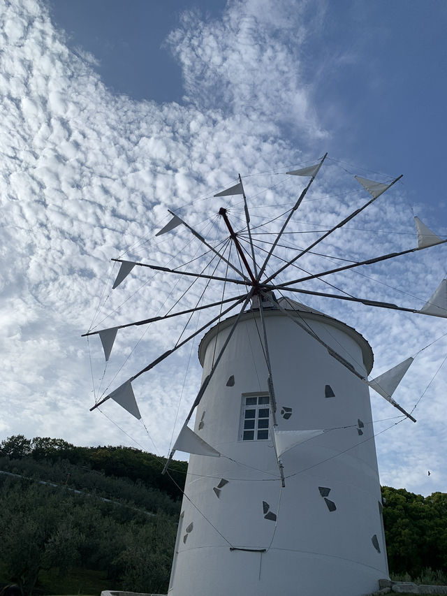 香川　フェリーで行く小豆島日帰り旅行🚢🫒
