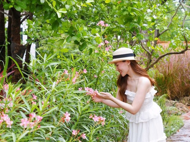 #ที่พักตาก สไตล์สวนอังกฤษ บรรยากาศดีมาก