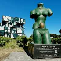 The d'Arenberg Cube