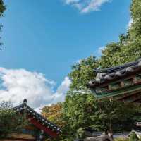 영주 최고의 명소