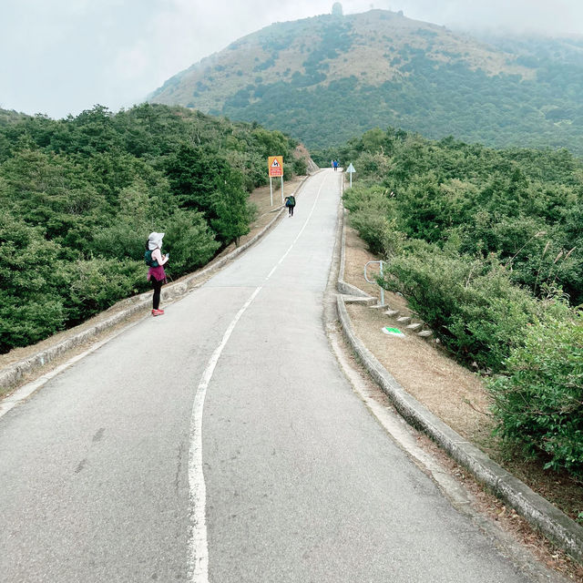 輕鬆行山～兩小時登香港最高峰大帽山