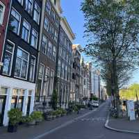 Amsterdam in Summer: A Journey Through History, Scenic Delights, and Culinary Treasures