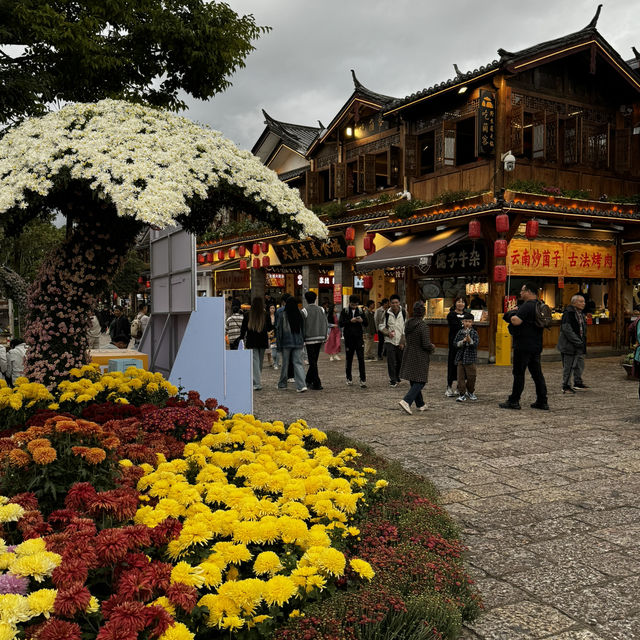 Lijiang Old Town - Bring to Dynasty 