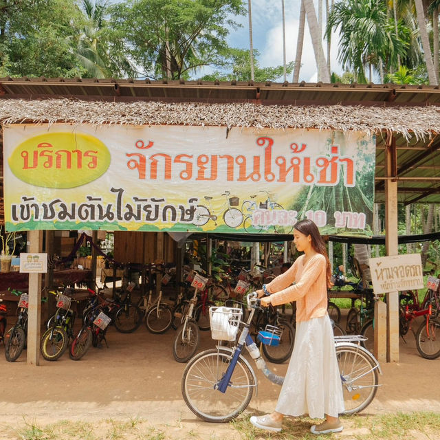 ยางนา แคมป์ ลานกางเต็นท์ 🏕️