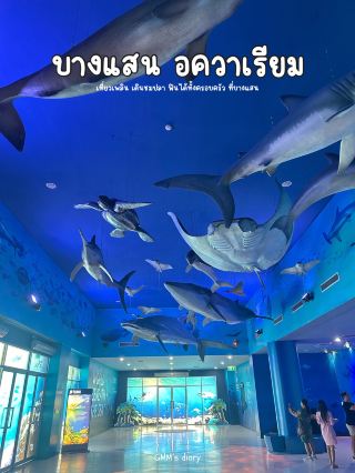 เที่ยวอควาเรียมบางแสน ชมปลาตัวใหญ่ ฟินสุดๆ 🐠🪸✨