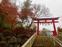 高尾山紅葉-寺廟、鳥居與紅葉融合，形成美麗的風景畫