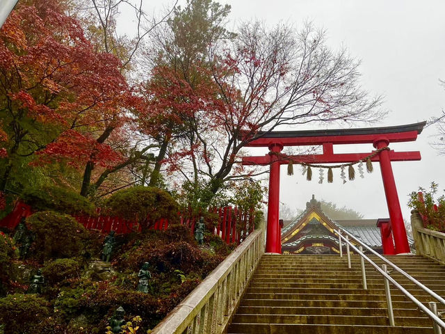 高尾山紅葉-寺廟、鳥居與紅葉融合，形成美麗的風景畫