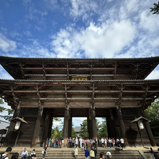 【奈良Nara】不只有小鹿的平城京