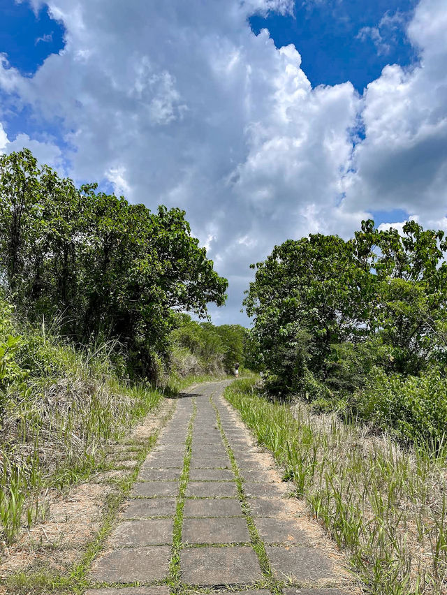 Tranquil Trails at Campuhan Ridge Walk