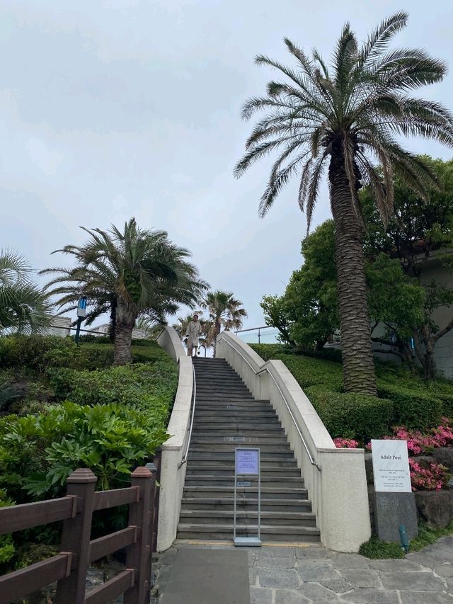 탁트인 바다가 있어 멋있는 제주신라호텔🌴♥️